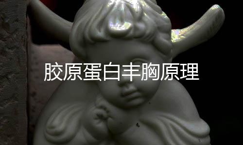 膠原蛋白豐胸原理