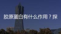 膠原蛋白有什么作用？探秘膠原蛋白的神奇功效