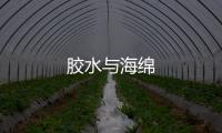 膠水與海綿