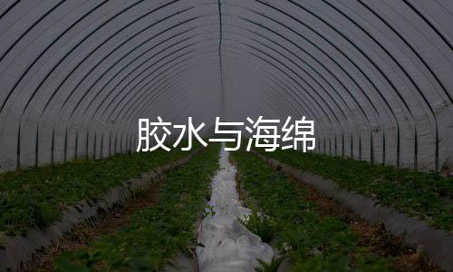 膠水與海綿