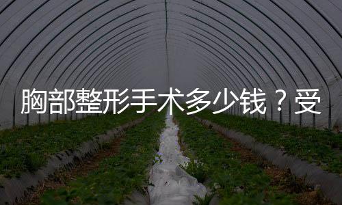 胸部整形手術多少錢？受三方面因素的影響~