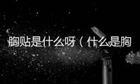 胸貼是什么呀（什么是胸貼）