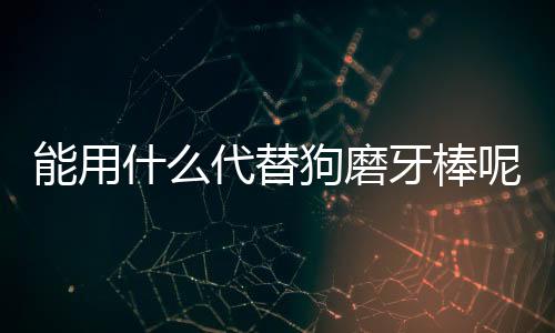 能用什么代替狗磨牙棒呢？什么可以代替狗狗專用牙膏