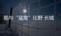 能與“猛禽”比野 長城皮卡全新風(fēng)駿7亮相