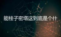 能桂子密塔這到底是個什么梗?