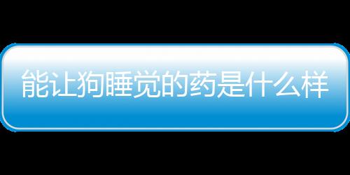 能讓狗睡覺的藥是什么樣子的呢(想讓狗狗睡覺吃什么藥)