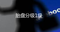 胎盤分級1級