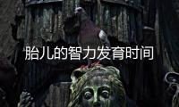 胎兒的智力發(fā)育時間