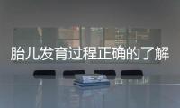 胎兒發育過程正確的了解方法是什么？
