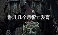 胎兒幾個(gè)月智力發(fā)育