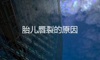 胎兒唇裂的原因