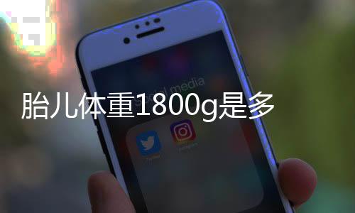 胎兒體重1800g是多少斤（800g是多少斤）