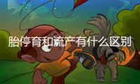 胎停育和流產有什么區別,兩種概念,3種情況助你快速了解