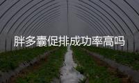 胖多囊促排成功率高嗎