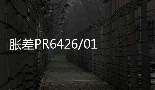 脹差PR6426/010