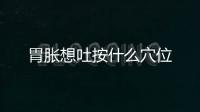 胃脹想吐按什么穴位