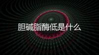 膽堿脂酶低是什么