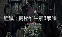 膽堿：揭秘維生素B家族的隱藏成員