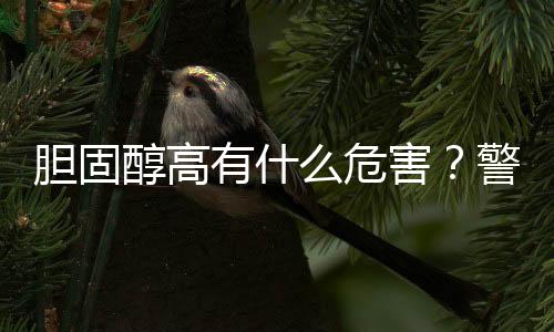 膽固醇高有什么危害？警惕“壞膽固醇”越界，“糊住”血管