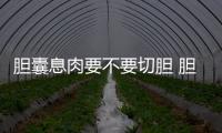 膽囊息肉要不要切膽 膽囊息肉應該如何治療