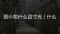 膽小如什么目寸光（什么目寸光）