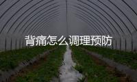 背痛怎么調(diào)理預(yù)防