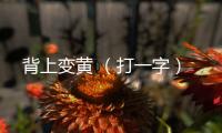 背上變黃 （打一字）
