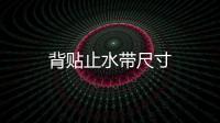 背貼止水帶尺寸