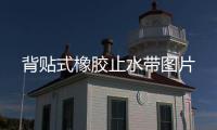 背貼式橡膠止水帶圖片