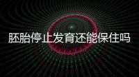 胚胎停止發育還能保住嗎？如何處理？
