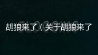 胡狼來了（關(guān)于胡狼來了的基本情況說明介紹）