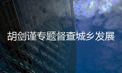 胡劍謹專題督查城鄉發展“八大整治”行動