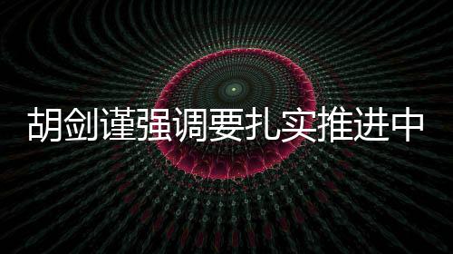 胡劍謹強調要扎實推進中小學校舍安全工程建設