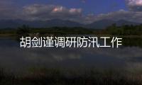 胡劍謹(jǐn)調(diào)研防汛工作