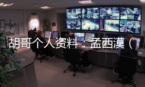 胡哥個人資料：孟西漠（孟九）扮演者