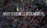 胡啟生檢查江北區(qū)域防汛工作