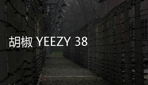 胡椒 YEEZY 380“Pepper”配色鞋款發售詳情釋出，清爽質感