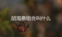 胡海泉組合叫什么