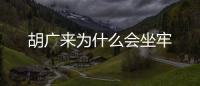 胡廣來為什么會坐牢