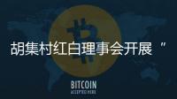 胡集村紅白理事會(huì)開展“倡導(dǎo)移風(fēng)易俗，破除陋習(xí)”主題宣傳活動(dòng)_