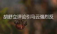 胡舒立評論引馬云強烈反彈 回應支付寶轉移之爭