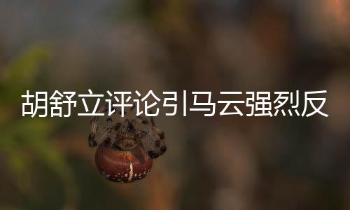 胡舒立評(píng)論引馬云強(qiáng)烈反彈 回應(yīng)支付寶轉(zhuǎn)移之爭(zhēng)