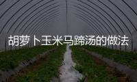 胡蘿卜玉米馬蹄湯的做法