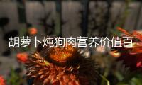胡蘿卜燉狗肉營(yíng)養(yǎng)價(jià)值百科