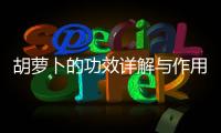 胡蘿卜的功效詳解與作用科普