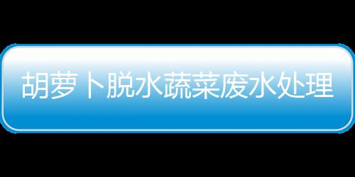 胡蘿卜脫水蔬菜廢水處理設備