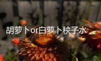 胡蘿卜or白蘿卜秧子水止孕吐效果不賴！妊娠反應劇烈快試試