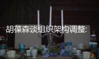 胡葆森談組織架構調整:已經醞釀半年  外因與內因聯合促使