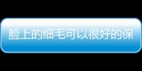 臉上的細毛可以很好的保護肌膚