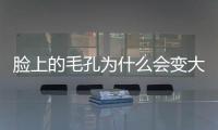 臉上的毛孔為什么會變大